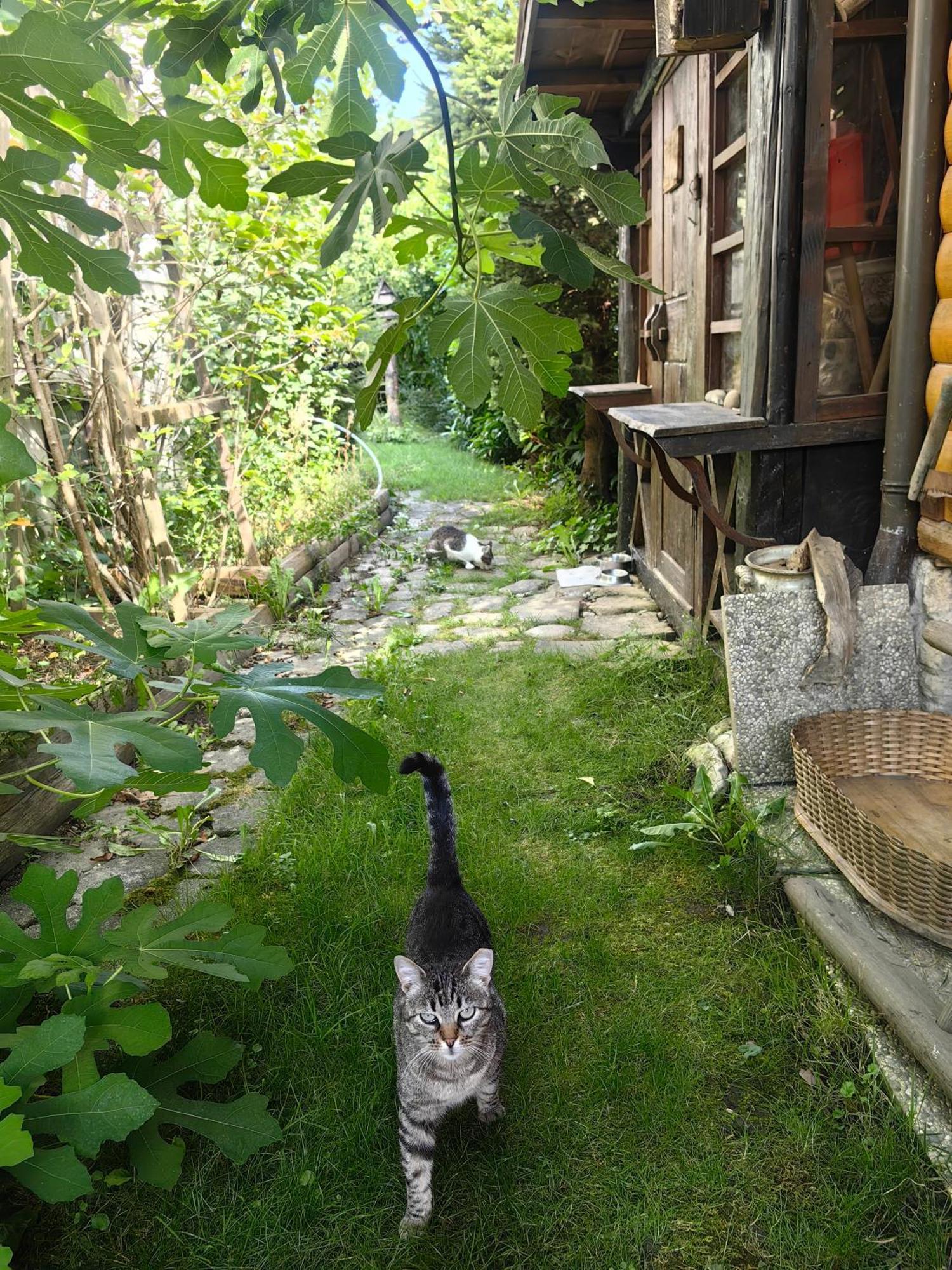 Hisa Hortenzija Luče 外观 照片